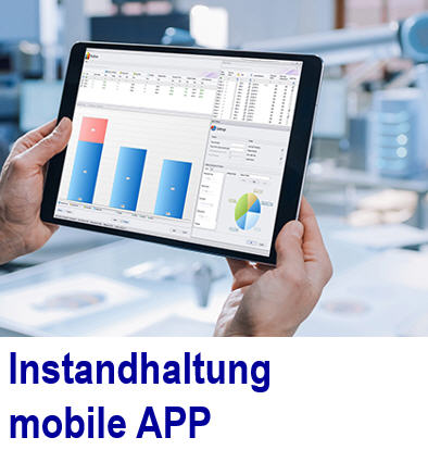 Instandhaltung APP Instandsetzung von Anlagen Instandhaltung APP